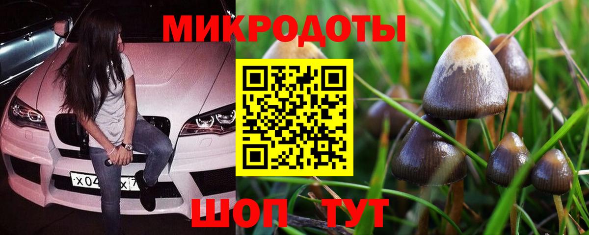Псилоцибиновые грибы MAGIC MUSHROOMS Тельмана